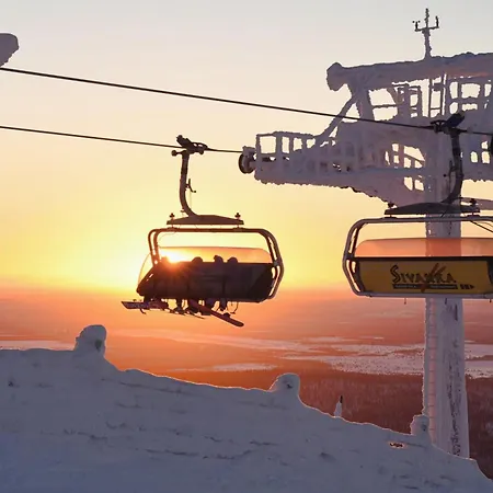 Metsonlinna 103 Levi