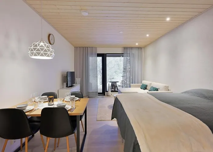 Metsonlinna 103 아파트 레비