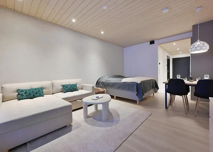 Metsonlinna 103 레비