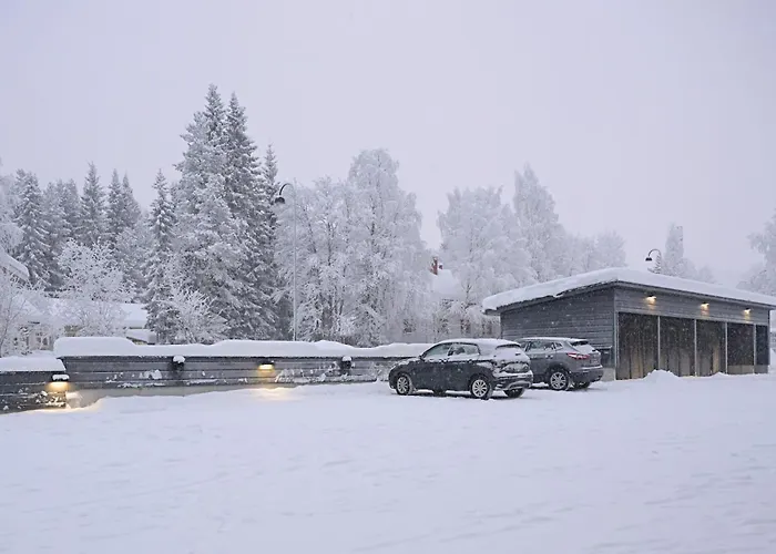 Metsonlinna 103 레비