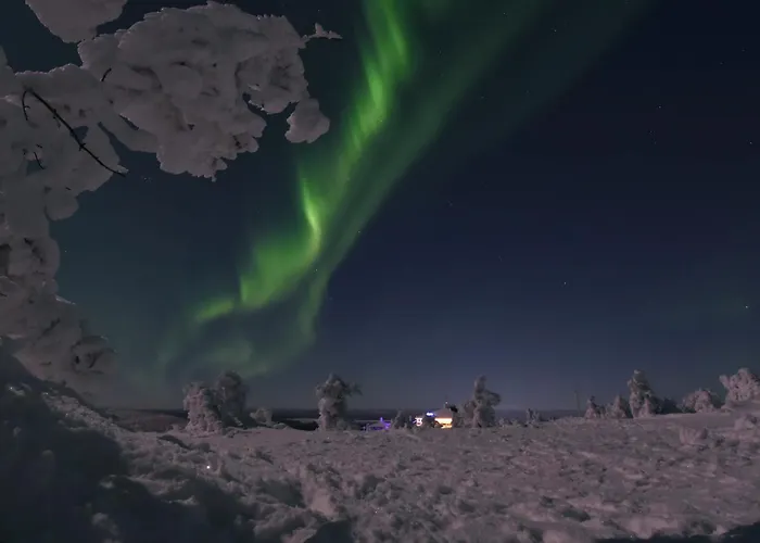 Metsonlinna 103 아파트 레비