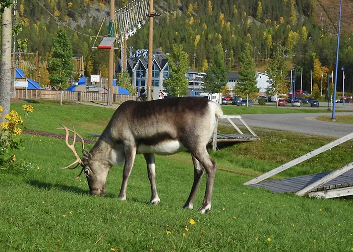 Metsonlinna 103 아파트 레비